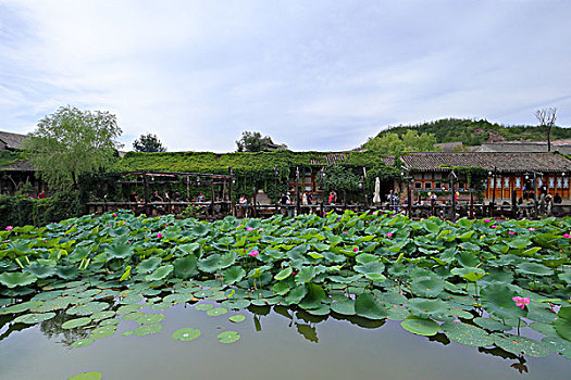 bạch thủ xsmb