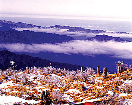 soi cau xs quang binh