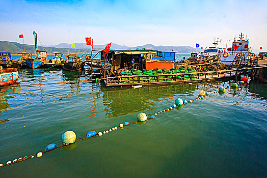 soi cau lo chuan hom nay