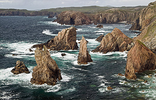 than tai du doan mien nam