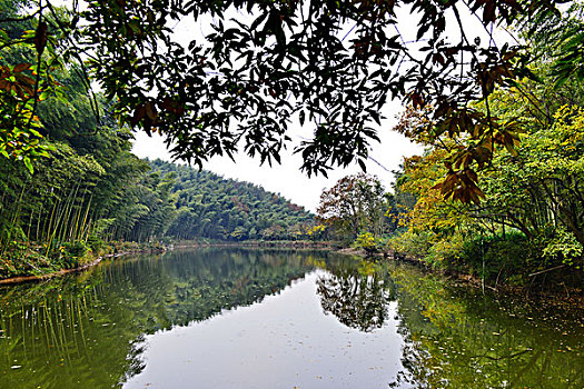 soi cầu lô mb