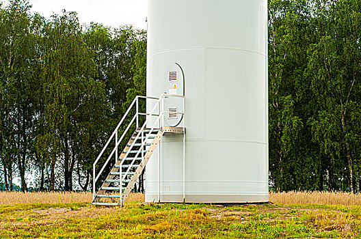 soi câu 555