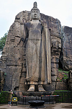 dự đoán