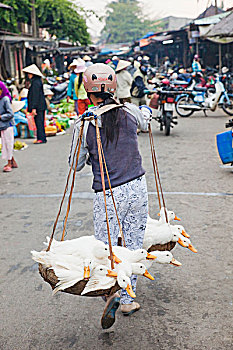 soi cau 555 ngay hom nay