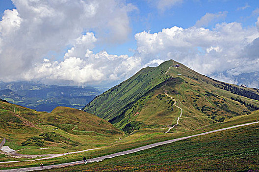 thống kê lô theo ngày