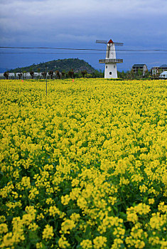 xo so quang tri