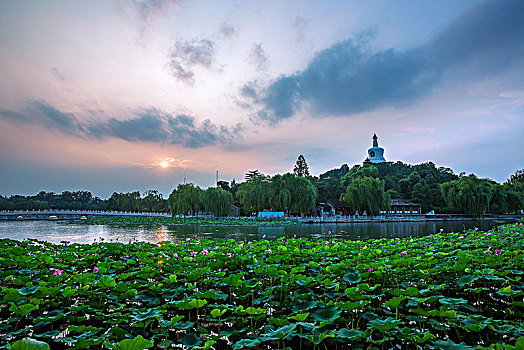 xs đài bắc