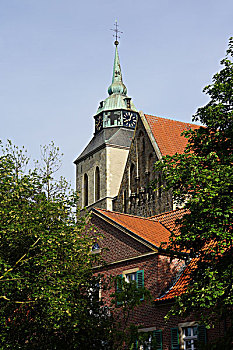 soi cau dac biet 368