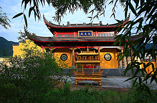 soi cau 100