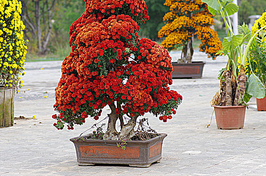 xổ số long an 30 ngày