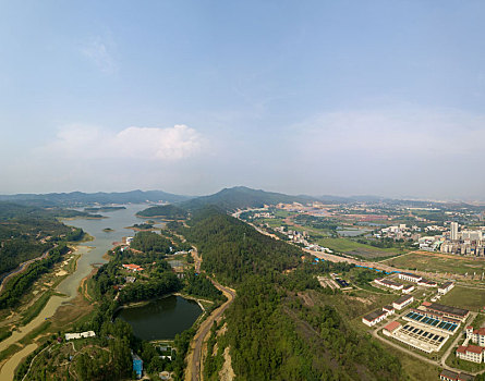 soi cau rong vang