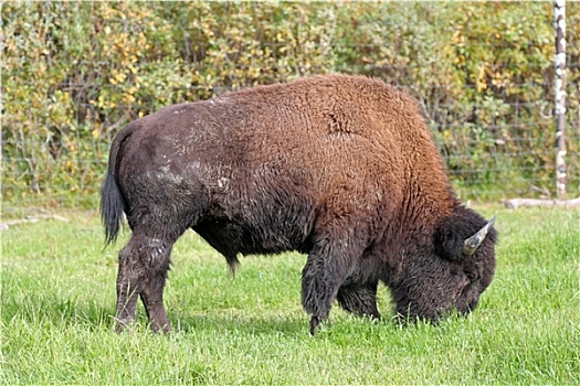 cách đánh lô