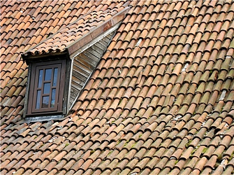 xổ số miền nam dự đoán