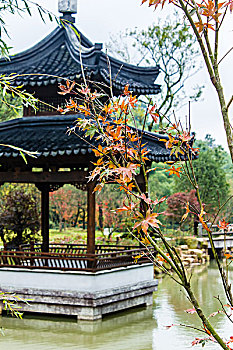 lo kep khung 3 ngay 247