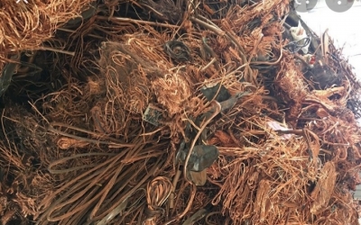  MUA PHẾ LIỆU ĐỒNG tại BÌNH DƯƠNG 
