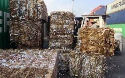CHUYÊN THU MUA GIẤY PHẾ LIỆU UY TÍN