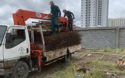công ty thu mua phế liệu tại gò vấp